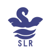 SLR